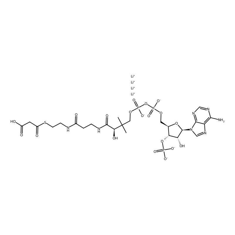 Malonyl coenzyme A tetralithium salt