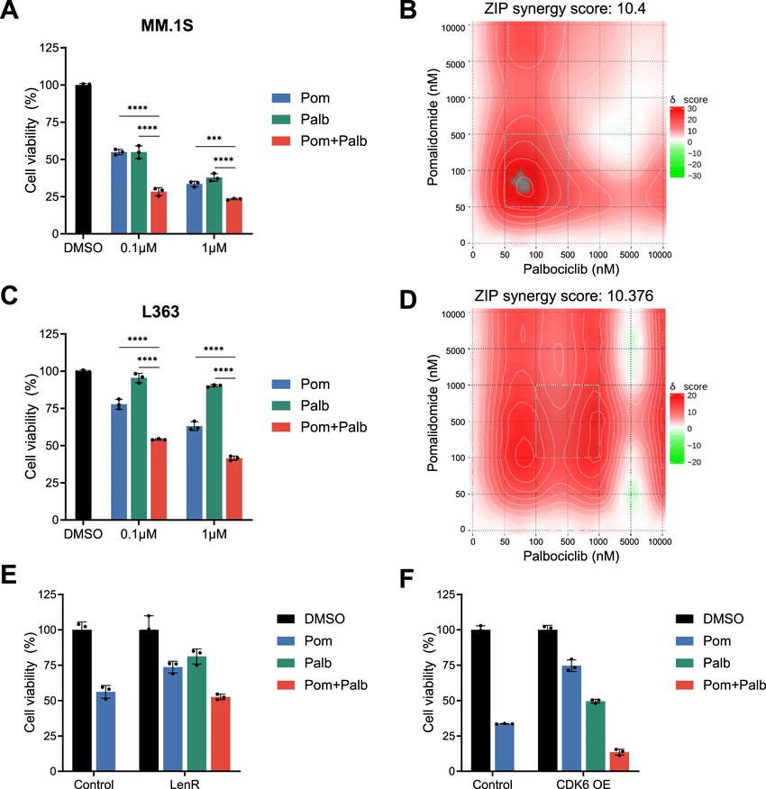 CDK6 upregulation