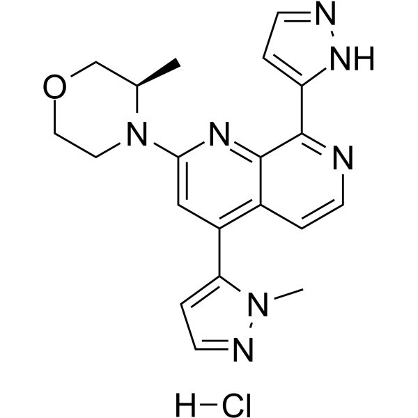 Structure of Elimusertib