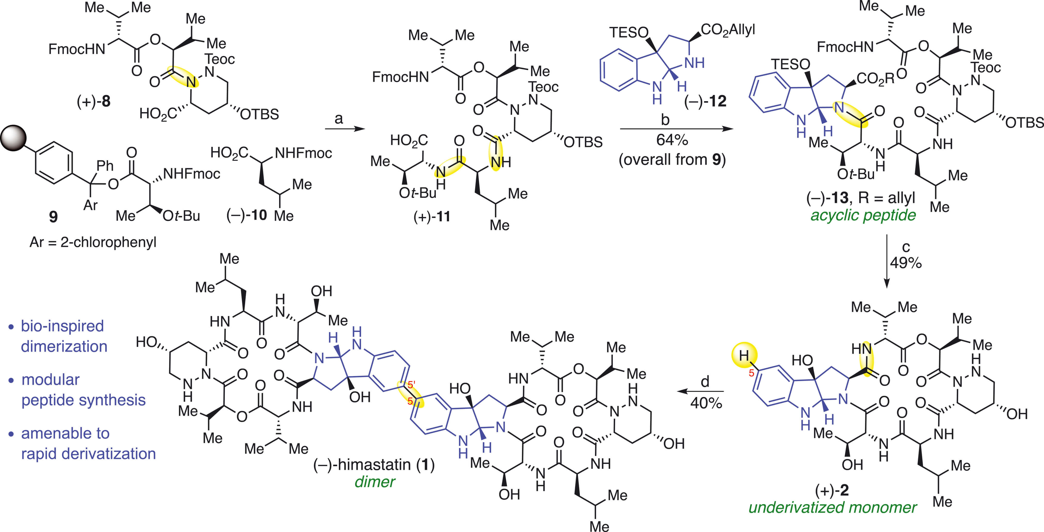 custom synthesis of Himastatin