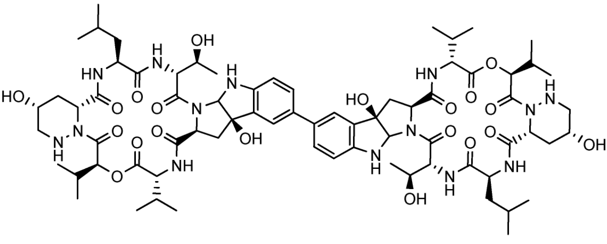 Structure of Himastatin