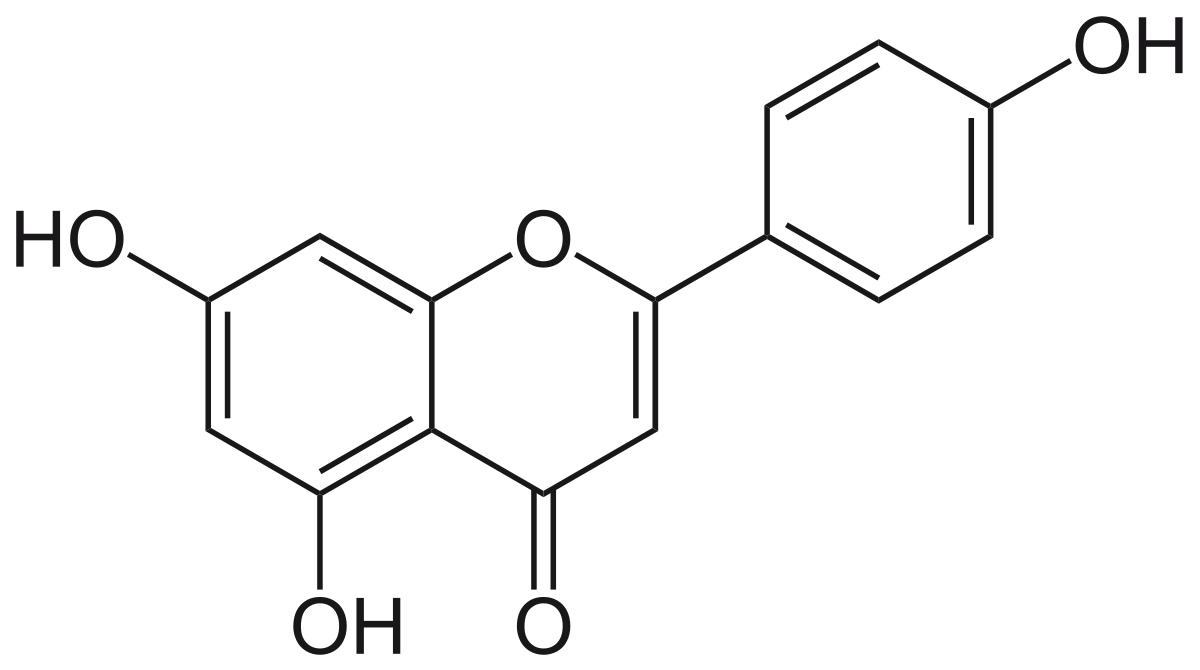 Structure of Apigenin