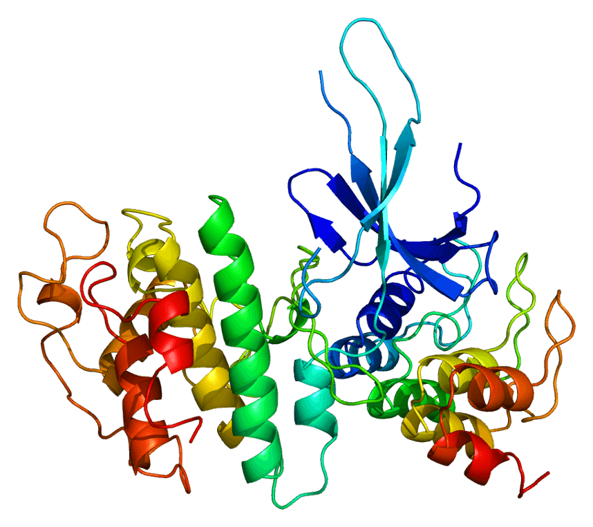 Protein CDK6
