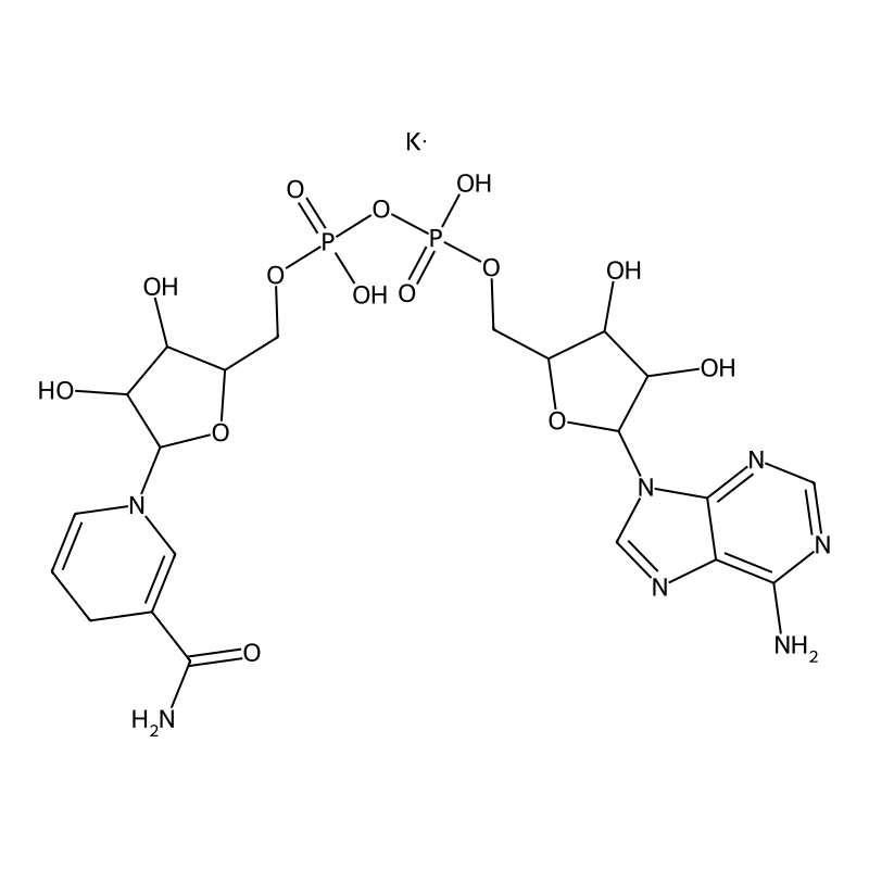 beta-Nicotinamide adenine dinucleotide, reduced dipotassium salt