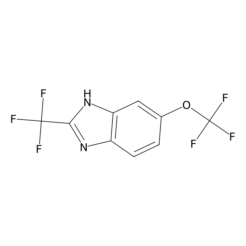 6-(Trifluoromethoxy)-2-(trifluoromethyl)-1H-benzim...