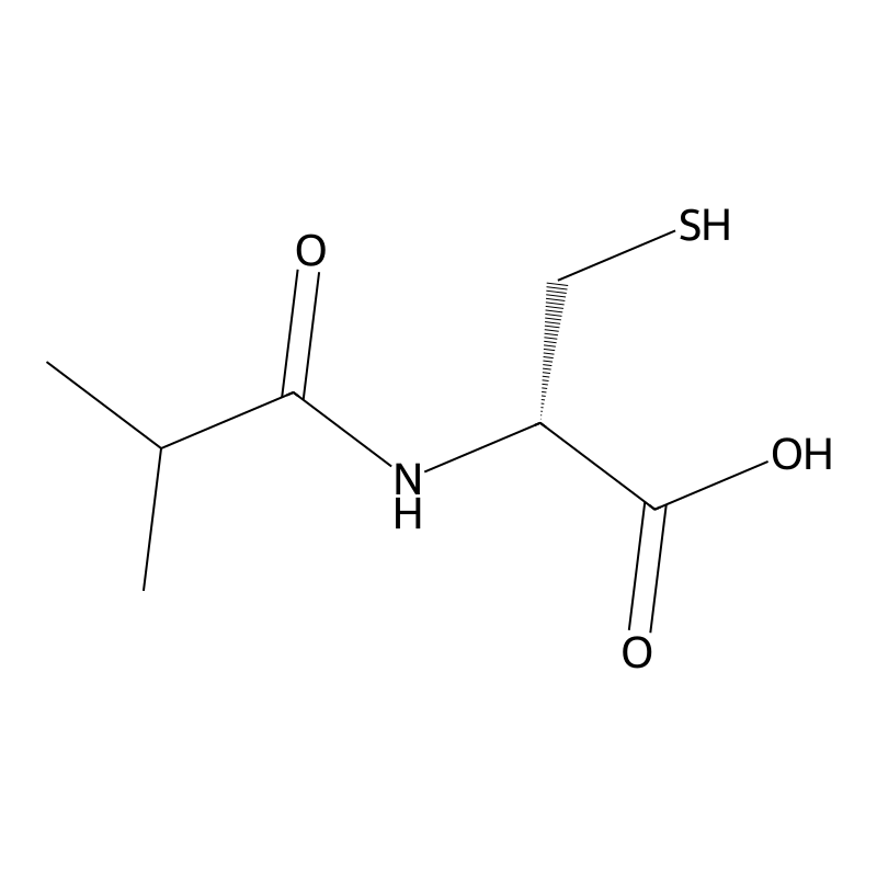 N-Isobutyryl-D-cysteine