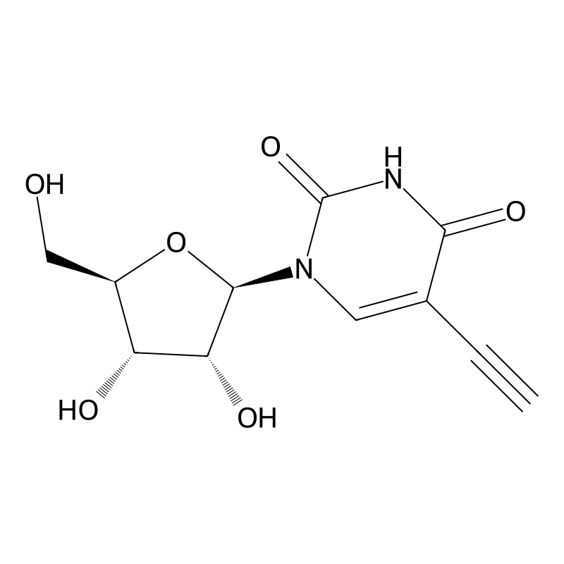 5-Ethynyluridine