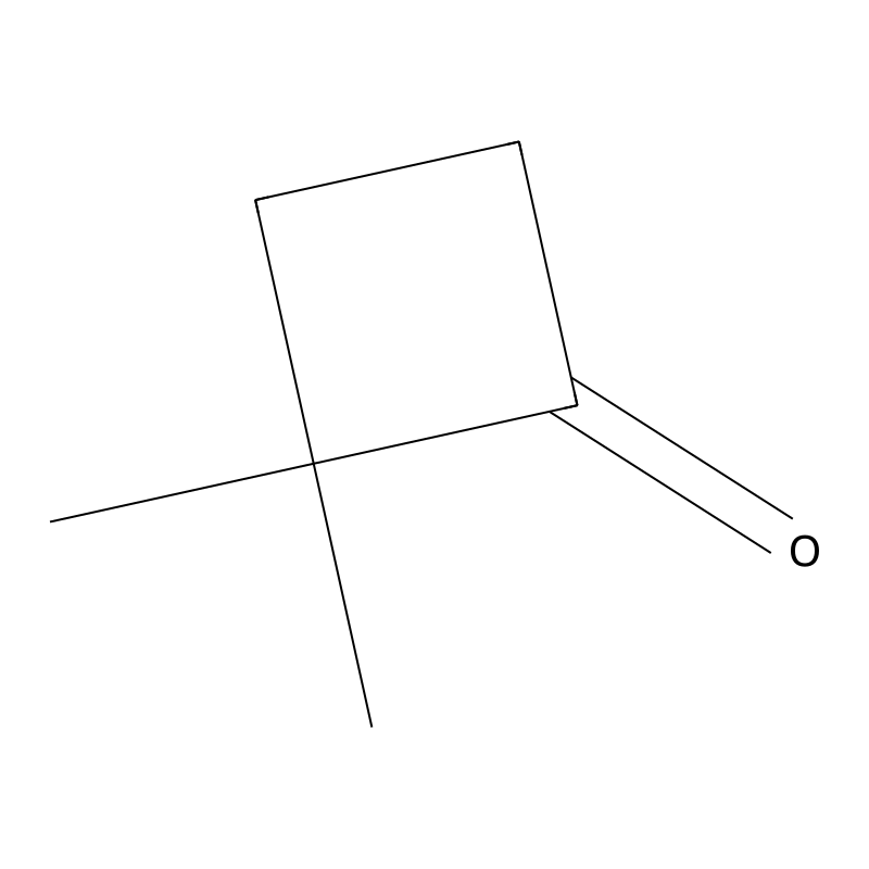 2,2-Dimethylcyclobutan-1-one