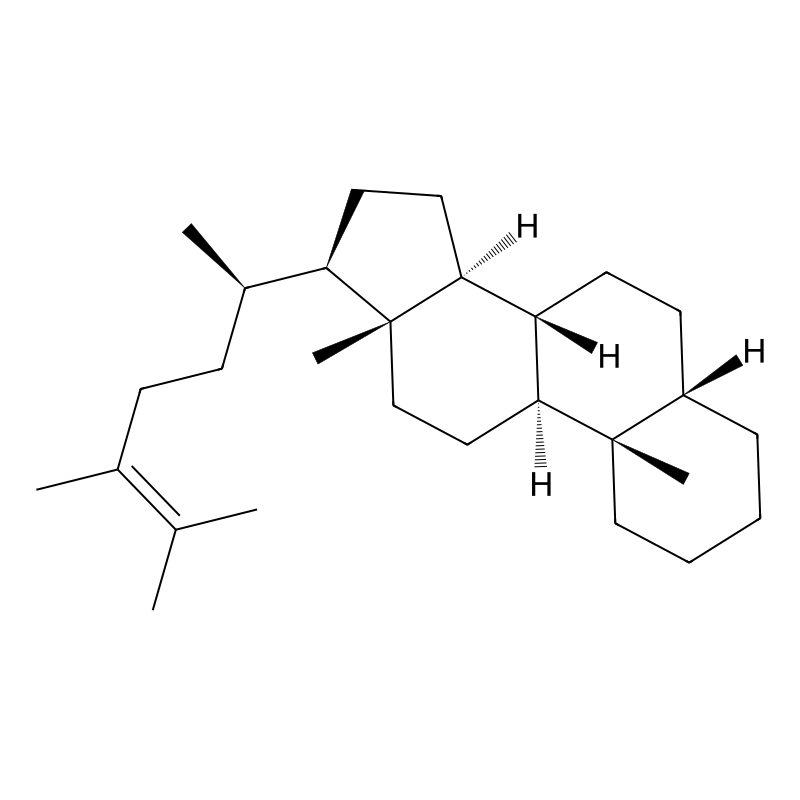 5beta-Ergost-24-ene