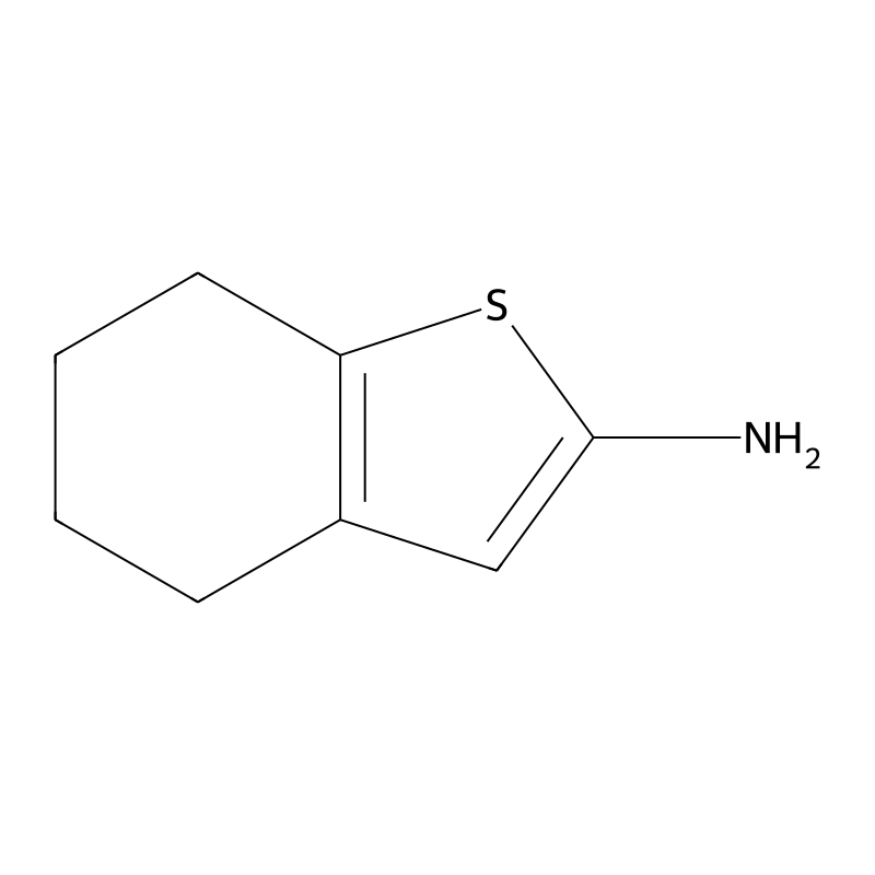 4,5,6,7-Tetrahydrobenzo[b]thiophen-2-amine
