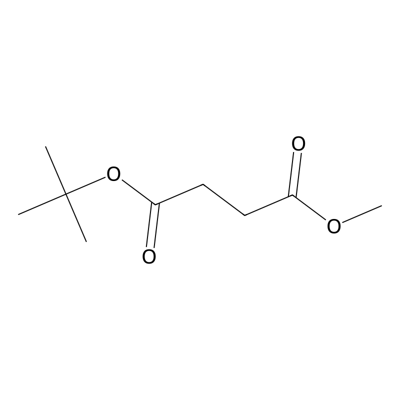 tert-Butyl methyl succinate