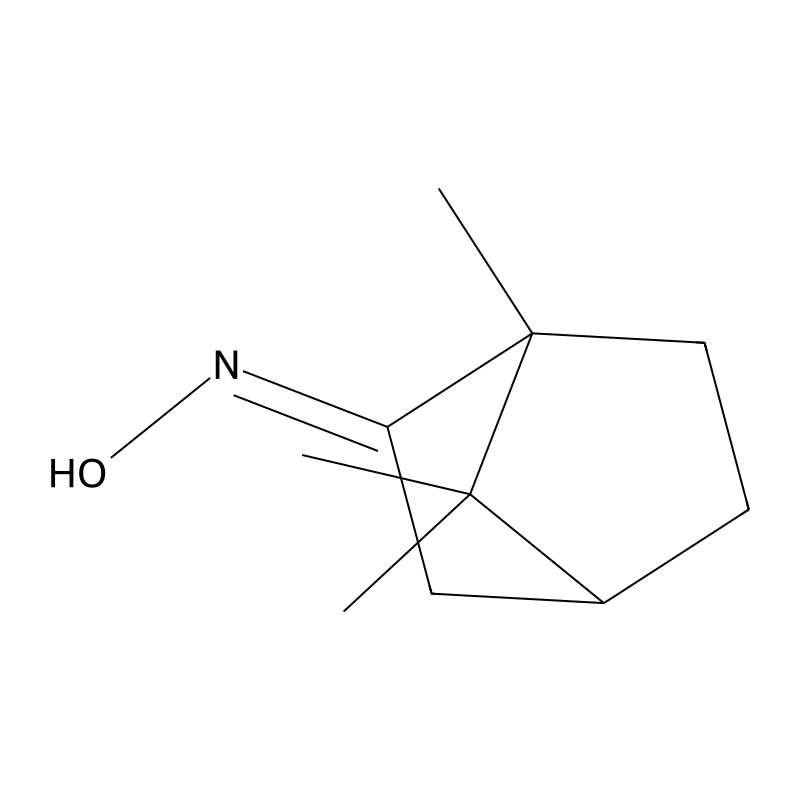 2-Bornanone oxime