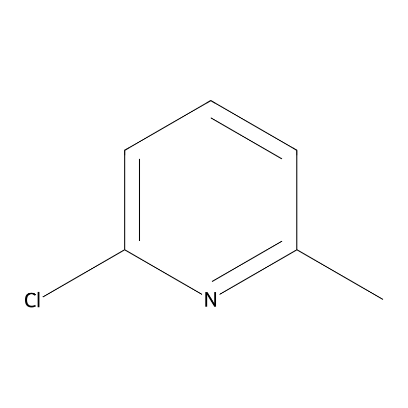 2-Chloro-6-methylpyridine