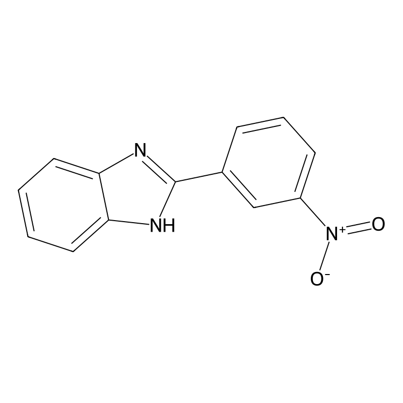 2-(3-Nitrophenyl)-1h-benzimidazole