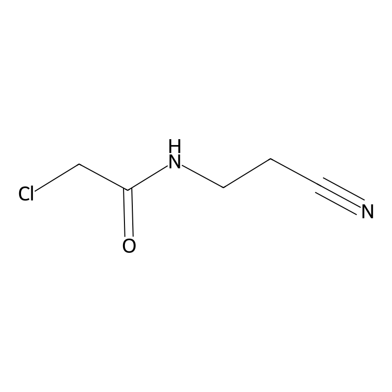 2-Chloro-N-(2-cyanoethyl)acetamide
