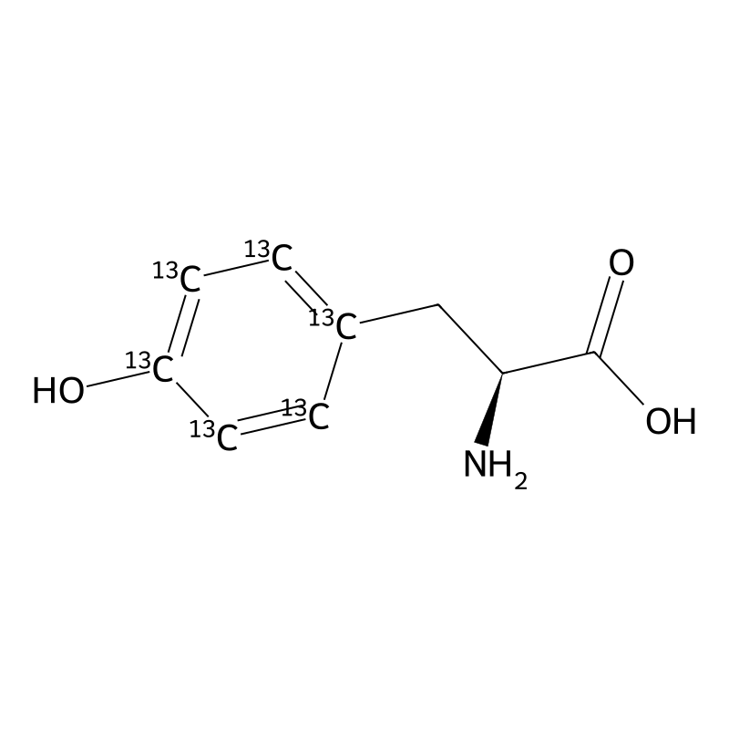 L-4-Hydroxyphenyl-13C6-alanine