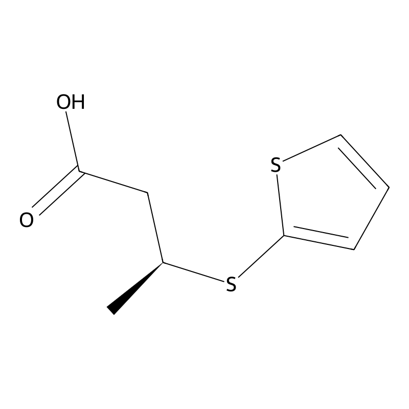 (S)-3-(Thiophen-2-ylthio)butanoic acid