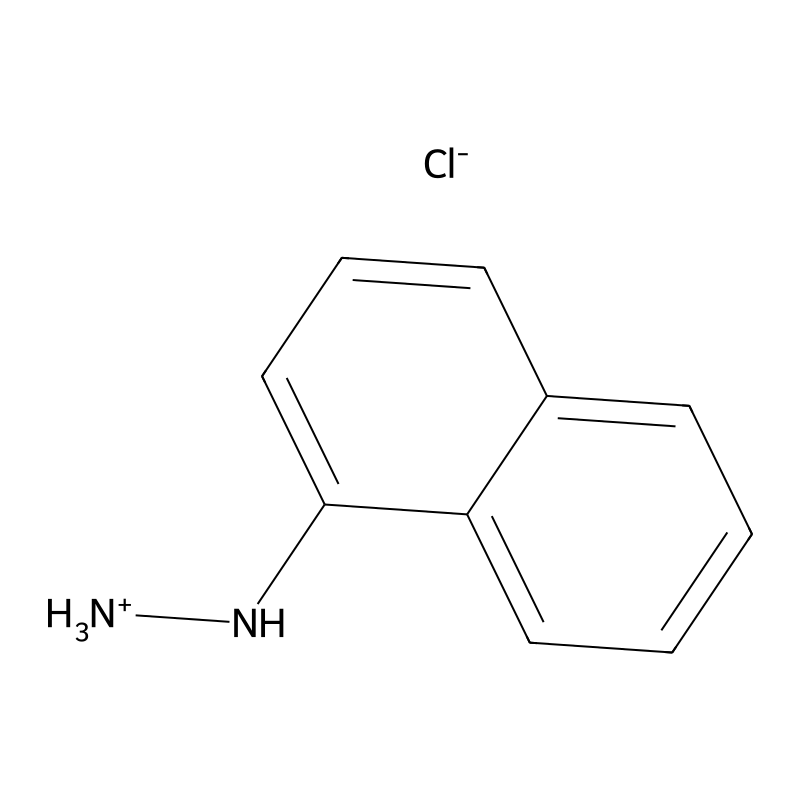 1-Naphthylhydrazine hydrochloride