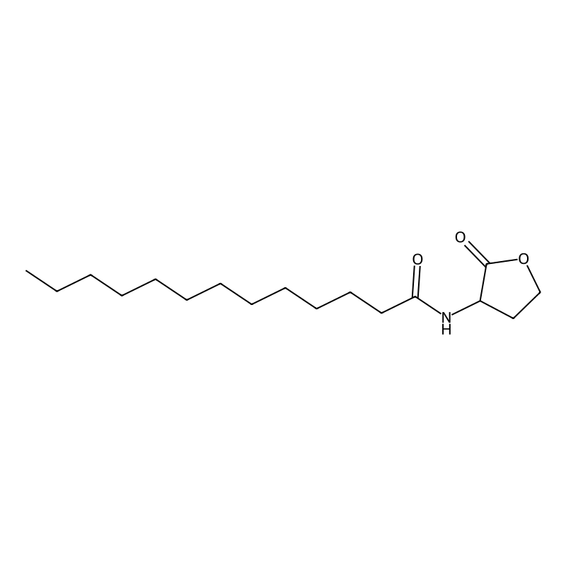 N-(2-oxooxolan-3-yl)tridecanamide