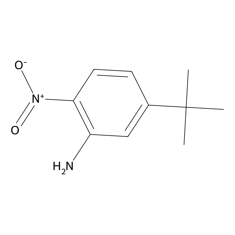 5-Tert-butyl-2-nitroaniline