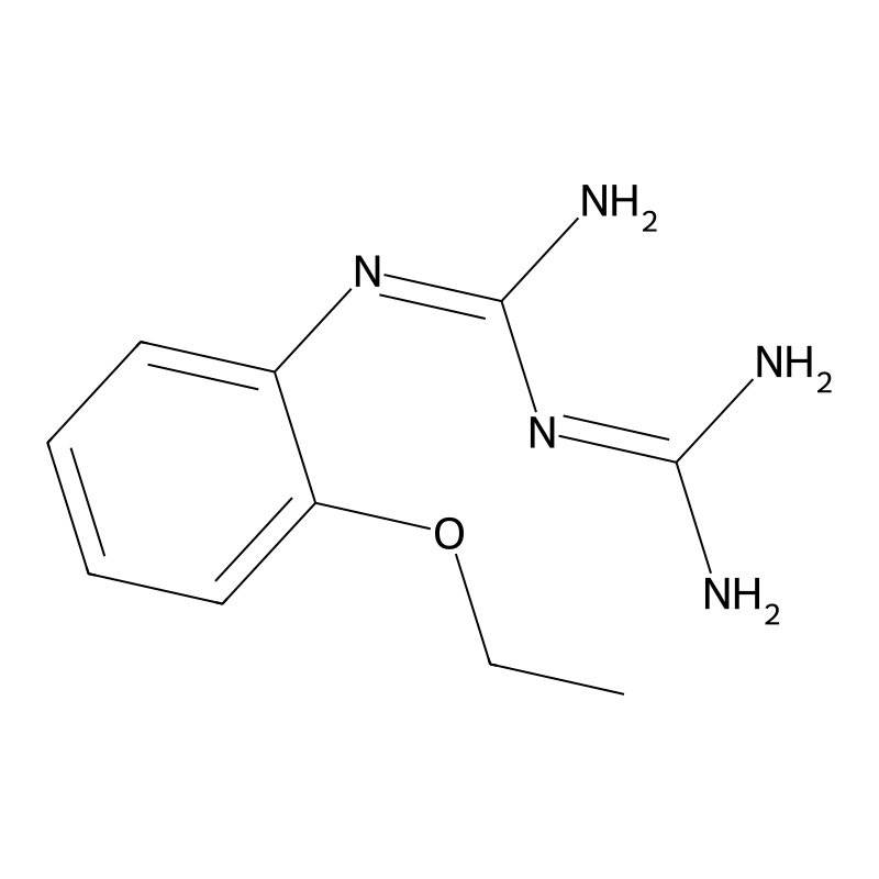 N-(2-ethoxyphenyl)imidodicarbonimidic diamide