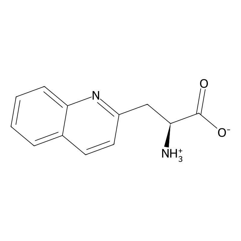 (S)-2-Amino-3-quinolin-2-yl-propionic acid