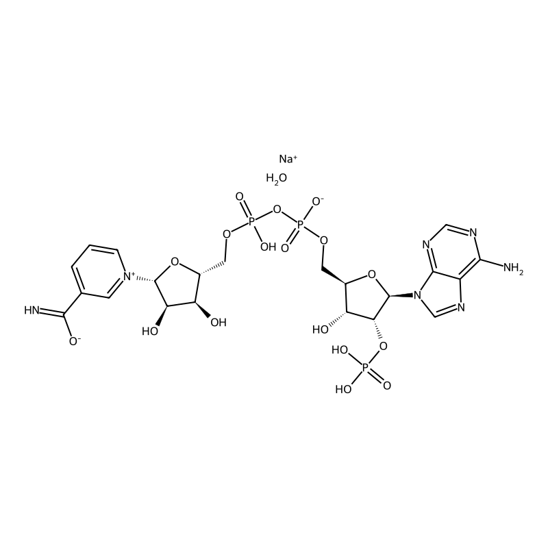 beta-Nicotinamide adenine dinucleotide phosphate sodium salt hydrate