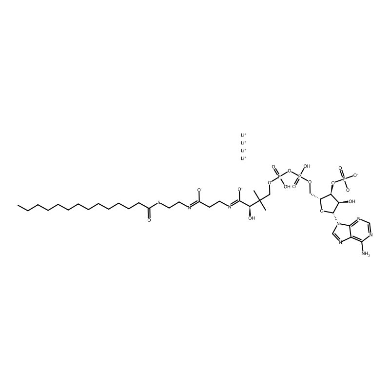 Myristoyl coenzyme A C14:0 lithium salt