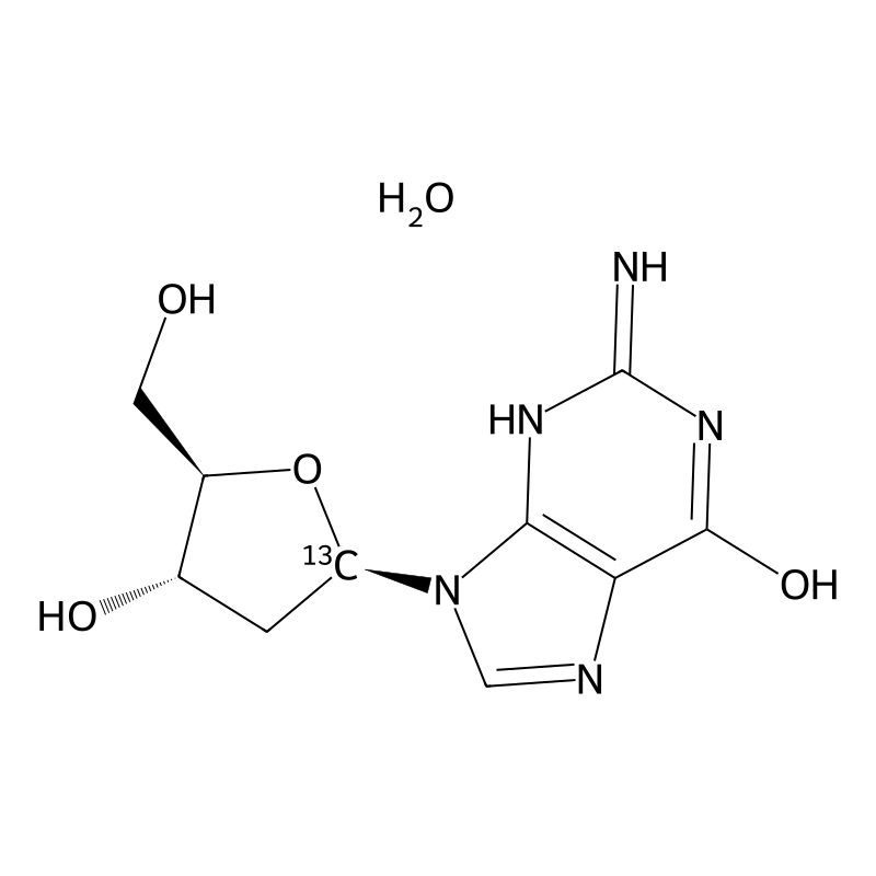 2'-Deoxyguanosine-[1-13C] Monohydrate