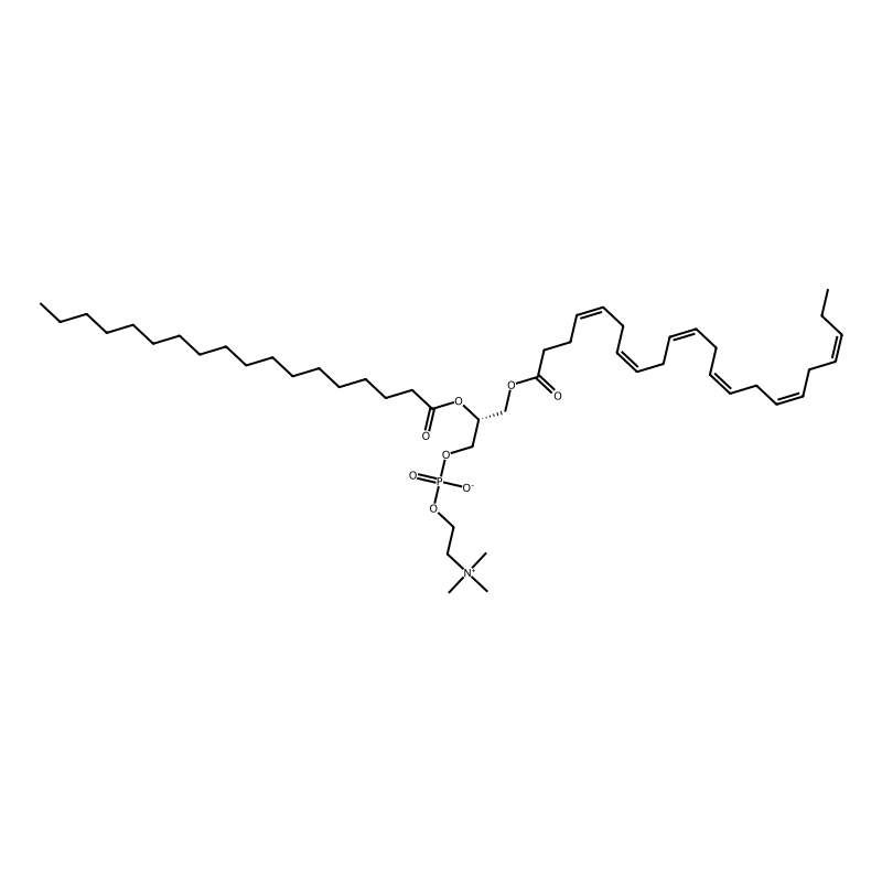 1-Stearoyl-2-docosahexanoyl-sn-glycero-3-phosphoch...