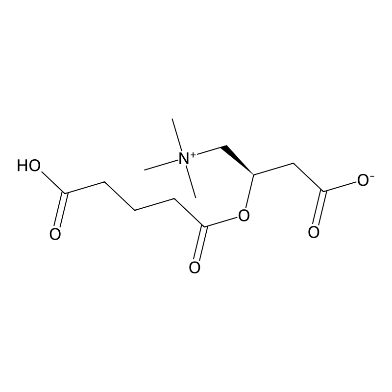 1-Propanaminium, 3-carboxy-2-(4-carboxy-1-oxobutoxy)-N,N,N-trimethyl-, inner salt, (2R)-