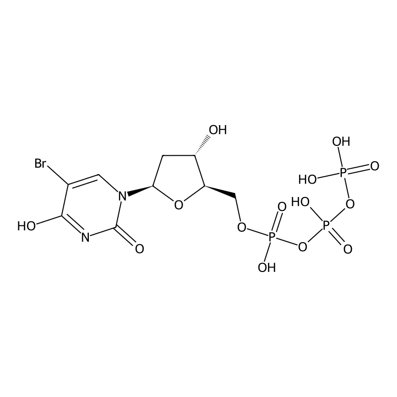 5-Bromo-2'-deoxyuridine 5'-triphosphate sodium sal...