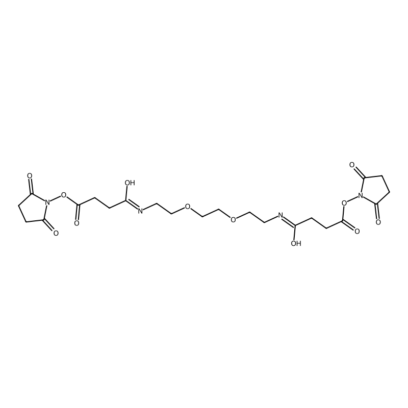 O,O'-Bis[2-(N-Succinimidyl-succinylamino)ethyl]polyethylene glycol