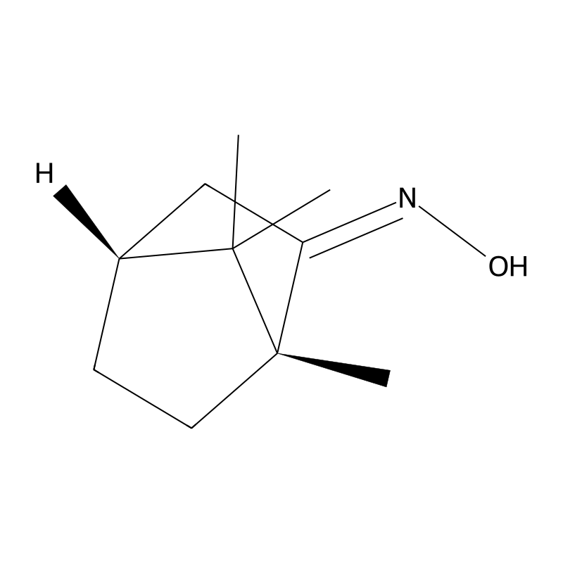 D-Camphor oxime