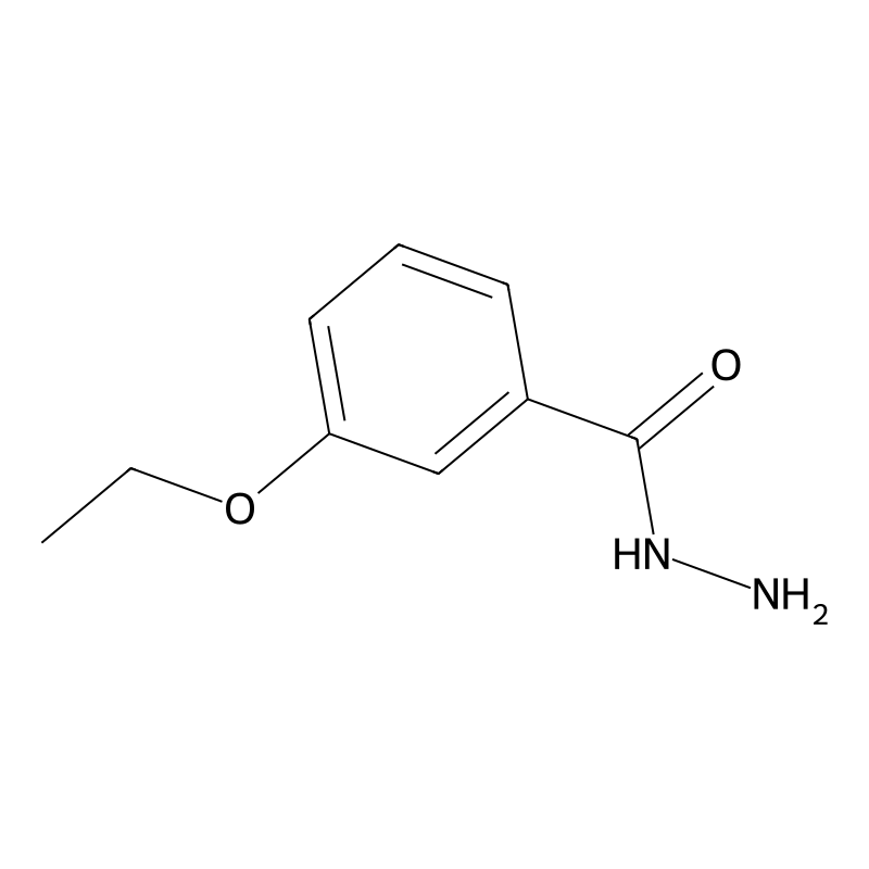 3-Ethoxybenzhydrazide
