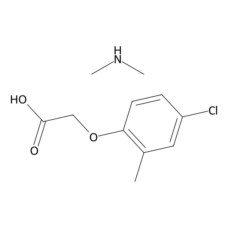 MCPA-dimethylammonium
