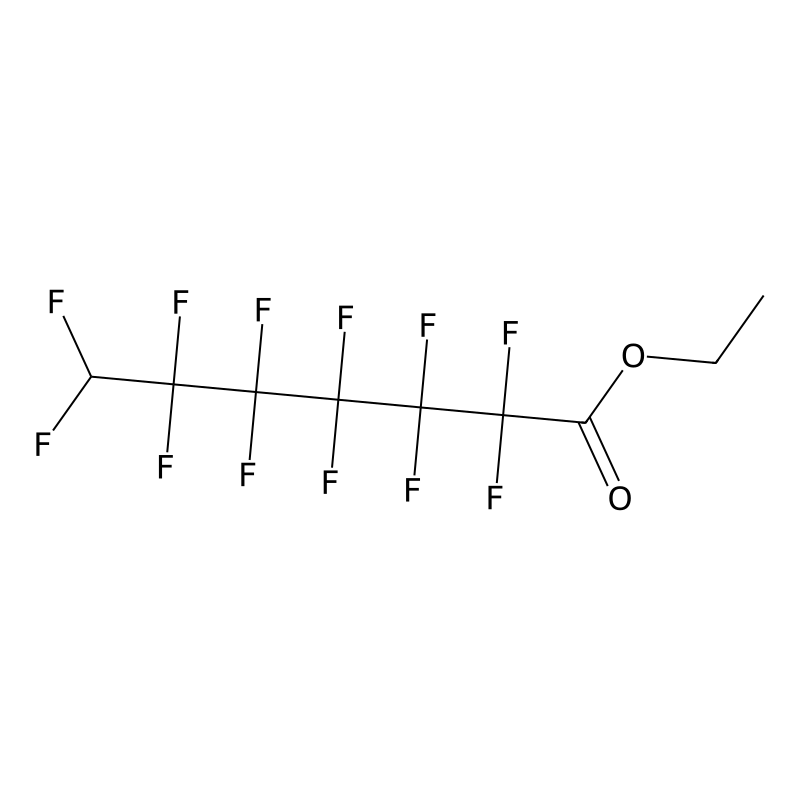 Ethyl 7H-perfluoroheptanoate