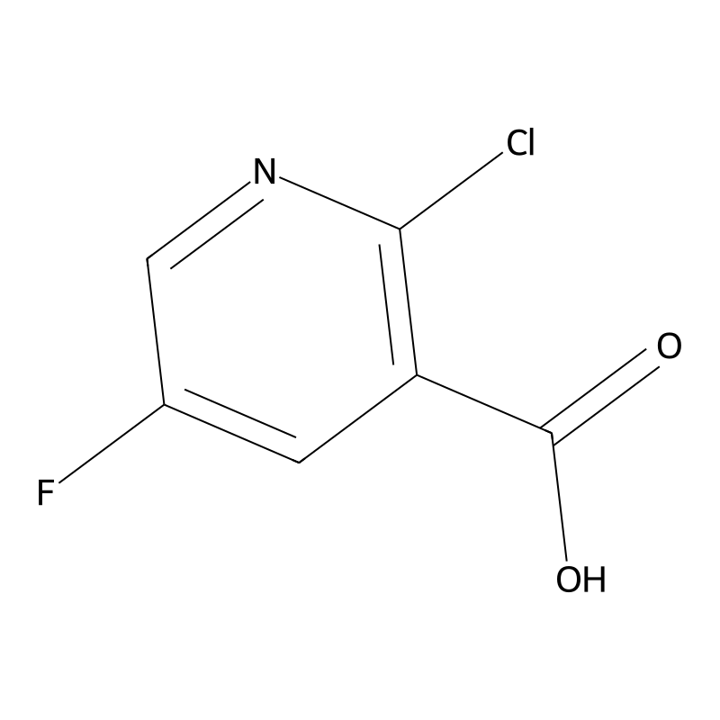 2-Chloro-5-fluoronicotinic acid