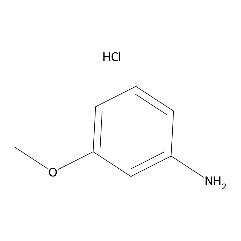 3-Methoxyaniline Hydrochloride