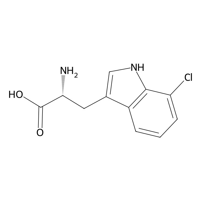7-chloro-D-tryptophan