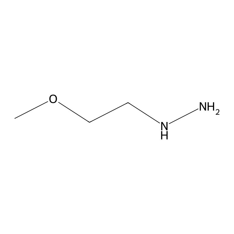 (2-Methoxyethyl)hydrazine