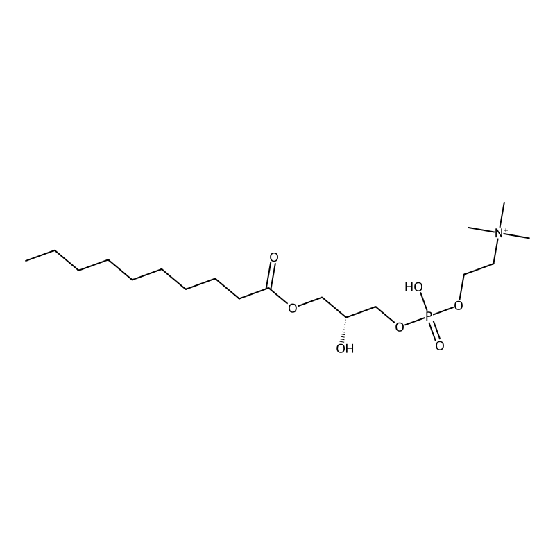 1-Decanoyl-sn-glycero-3-phosphocholine