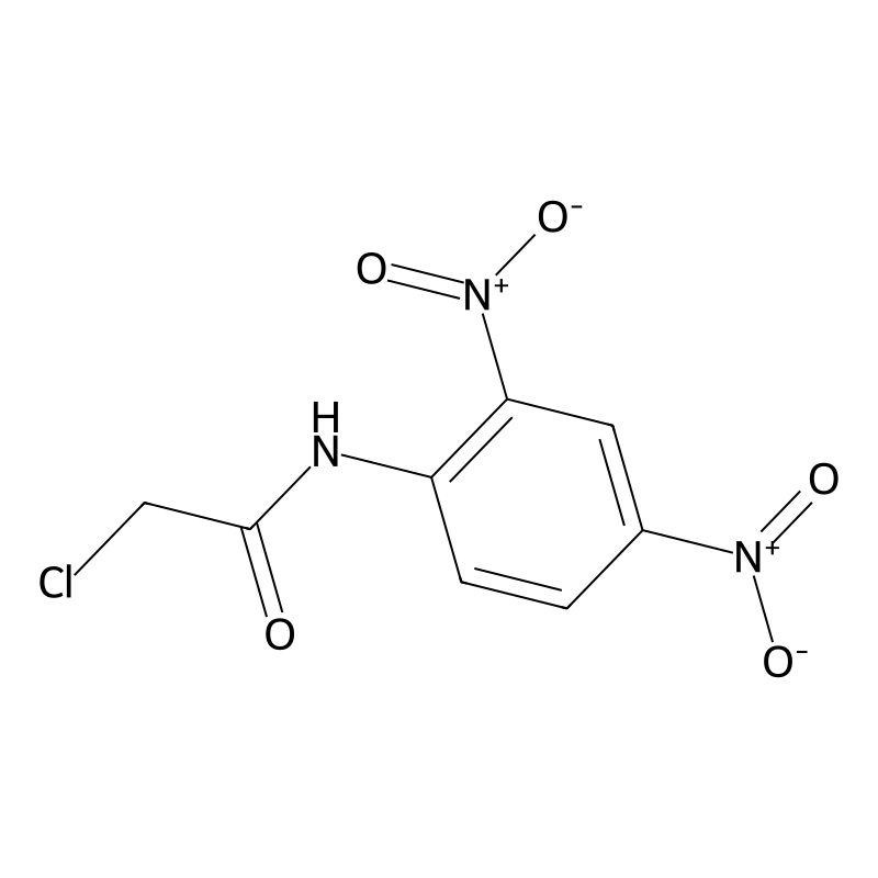 2-chloro-n-(2,4-dinitro-phenyl)-acetamide