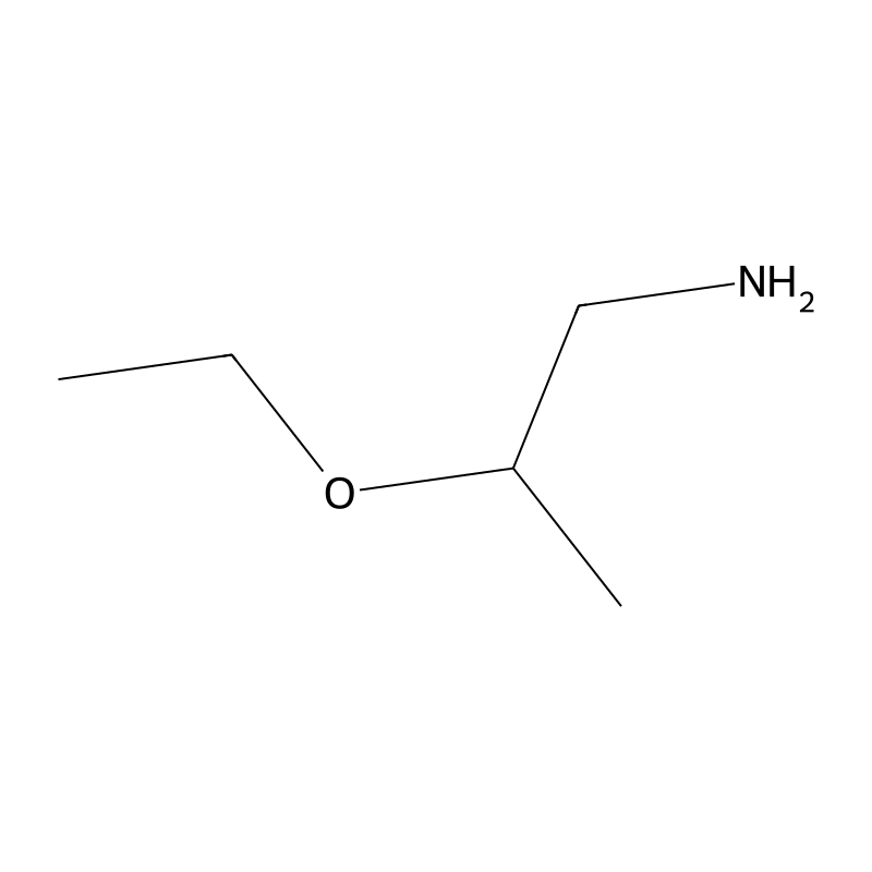 2-Ethoxypropan-1-amine