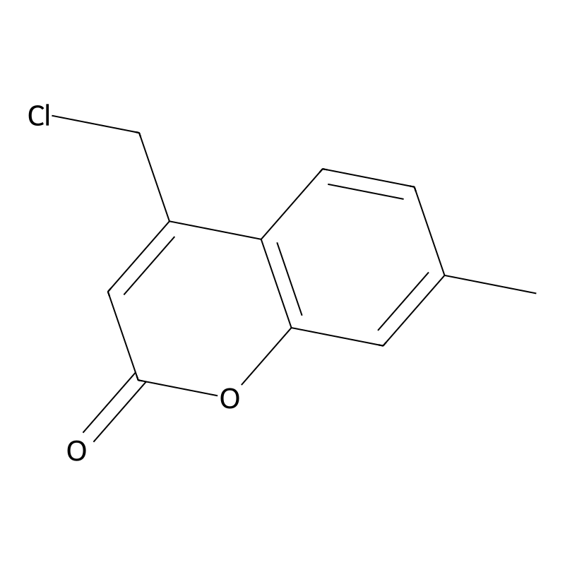 4-Chloromethyl-7-methyl-chromen-2-one