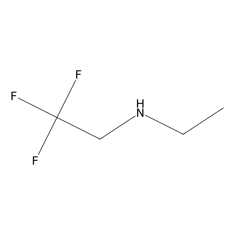 N-Ethyl-2,2,2-trifluoroethanamine