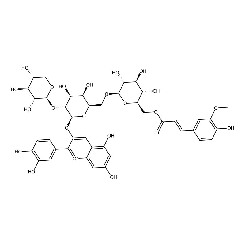 Cyanidin 3-xylosyl(feruloylglucosyl)galactoside