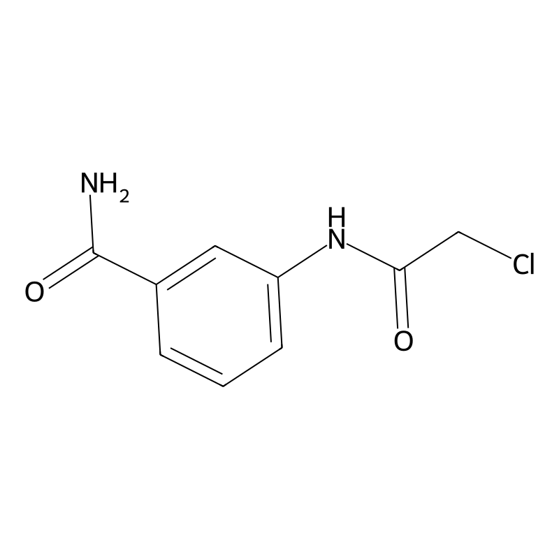 Benzamide, 3-[(chloroacetyl)amino]-