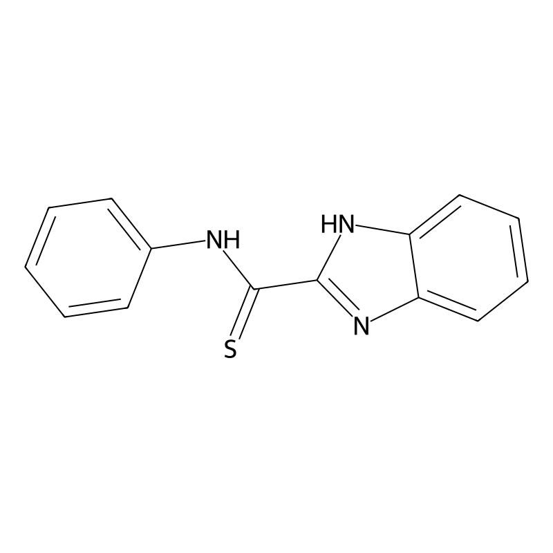 1H-Benzimidazole-2-carbothioamide, N-phenyl-