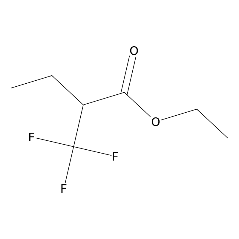 Butanoic acid, 2-(trifluoromethyl)-, ethyl ester